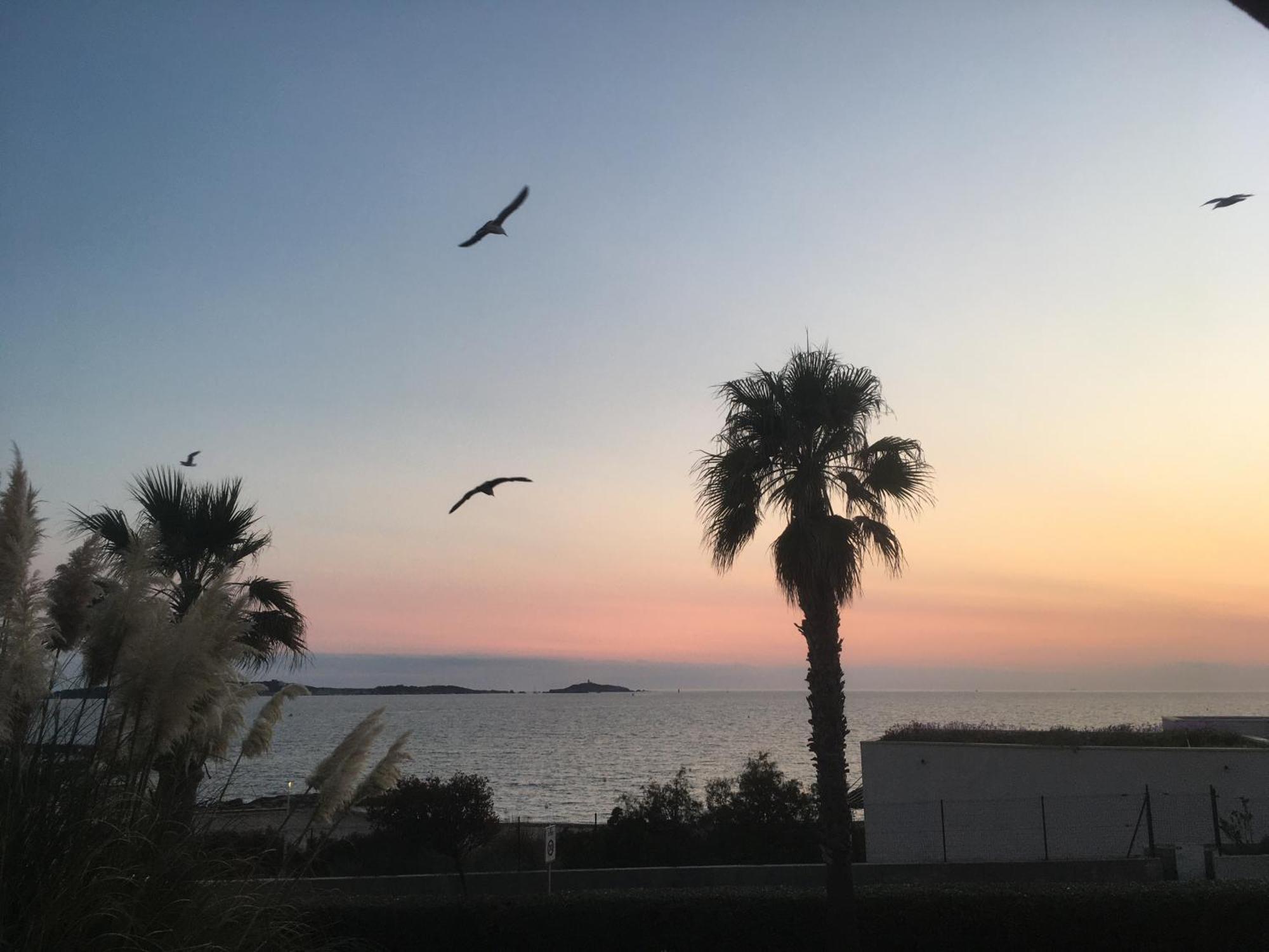 Apartment Sea Breeze Med - Vue Mer Climatise, Piscine & Club House A 30m De La Plage Six-Fours-les-Plages